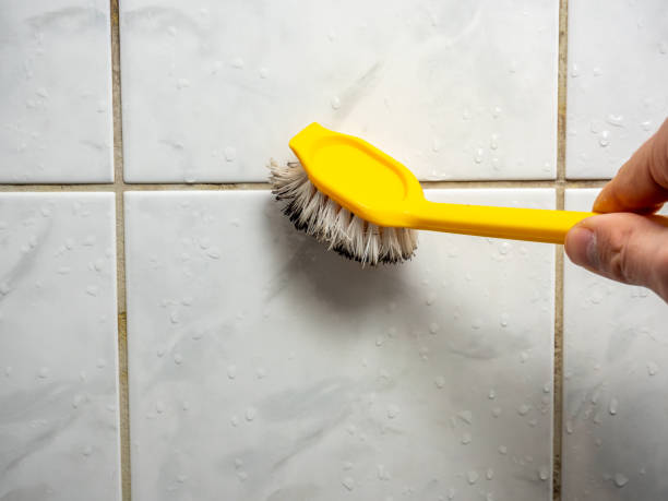 Best Fast Mold Removal  in Greenville, PA