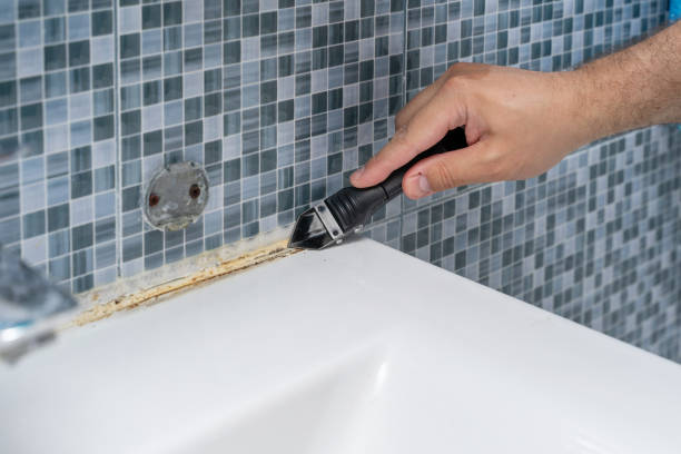 Best Affordable Mold Removal  in Greenville, PA