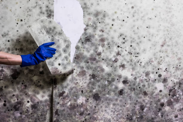 Water Damage Restoration in Greenville, PA